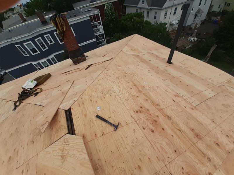 dorchesterroof3jpg