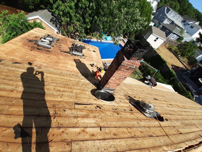 lynn2roof