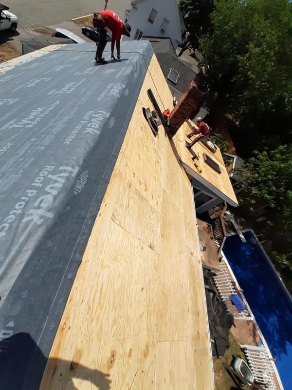 lynn2roof3