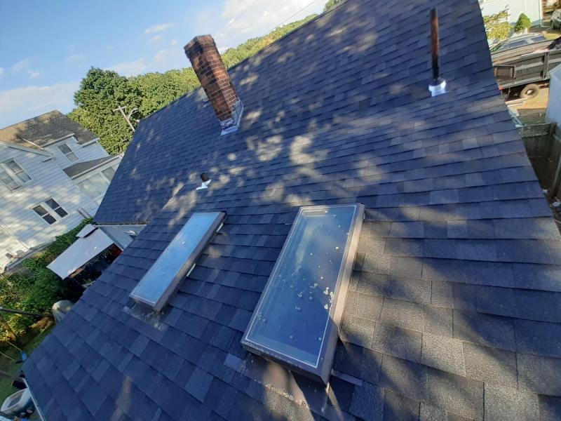 lynn2roof7