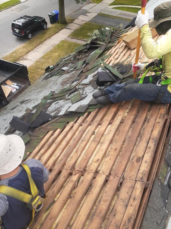 springfield2roof.1